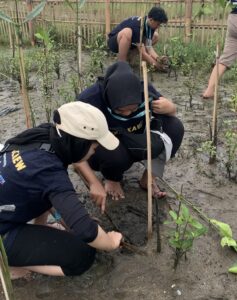 Kegiatan Prove (Protect our mangrove) berlangsung 